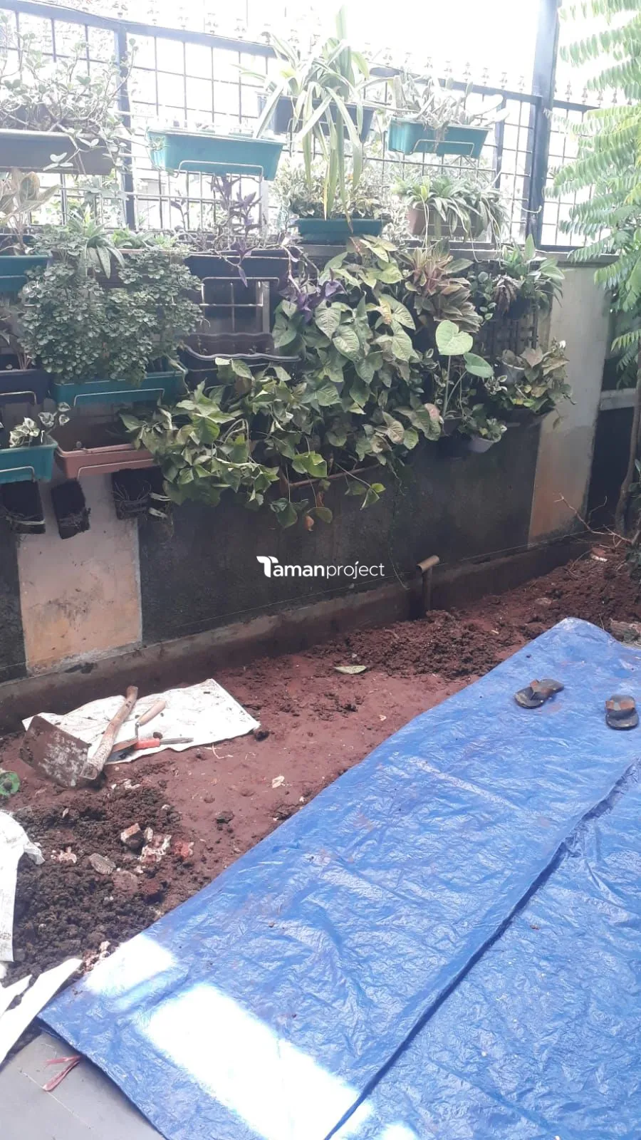 taman vertikal kolam relief taman minimalis